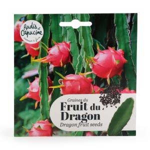 Fruit du Dragon à semer